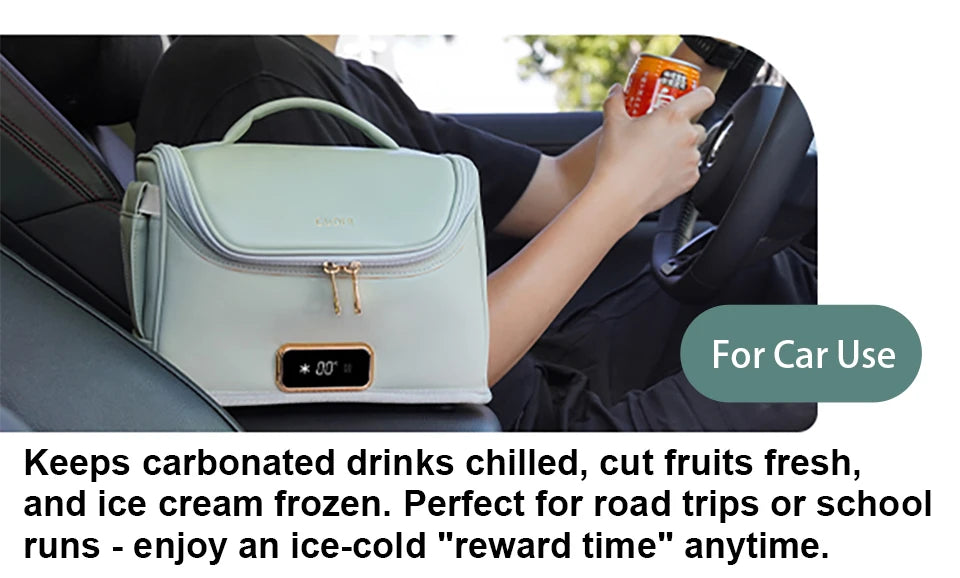 Car Mini Refrigerator Bag