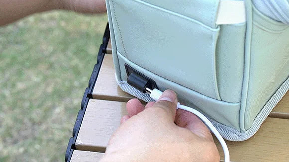 Car Mini Refrigerator Bag