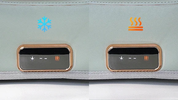 Car Mini Refrigerator Bag