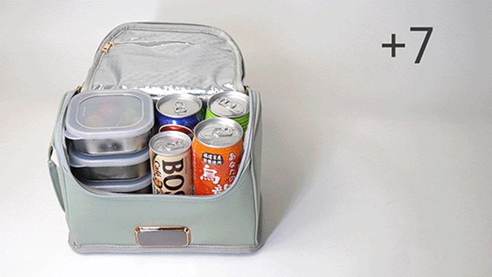 Car Mini Refrigerator Bag